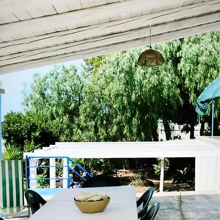 Greta Torre Suda